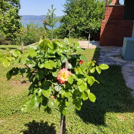 Outstanding Villa With Private Pool And View Near Lake Sapanca Sakarya (Marmara)